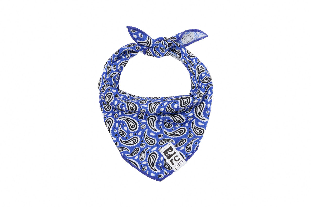 Rc Pets Zephyr Bandana Rafraîchissant Rebel Blue Moyen/Grand