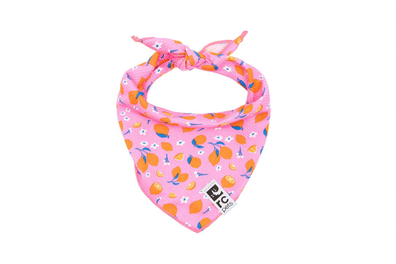 Rc Pets Zephyr Bandana Rafraîchissant Zesty Moyen/Grand