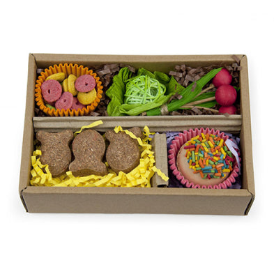 Prevue Hendryx™ Bento Chew & Shred Box