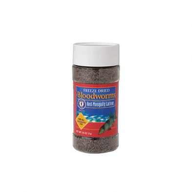 San Francisco Bay vers de vase lyophilisés 1/4Oz
