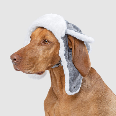 Canada Pooch The Artic Air Hat Gris