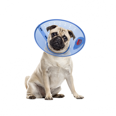 Acorn Pet Products – Collier élisabéthain Calm Paws Behavior Support