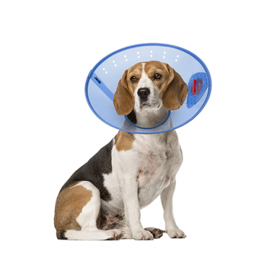 Acorn Pet Products – Collier élisabéthain Calm Paws Behavior Support