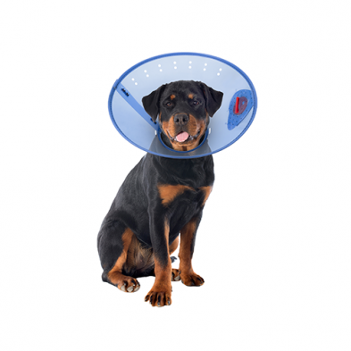 Acorn Pet Products – Collier élisabéthain Calm Paws Behavior Support