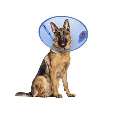 Acorn Pet Products – Collier élisabéthain Calm Paws Behavior Support
