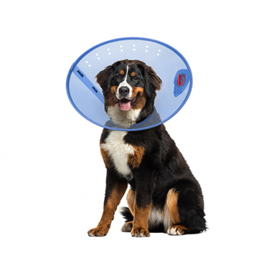 Acorn Pet Products – Collier élisabéthain Calm Paws Behavior Support
