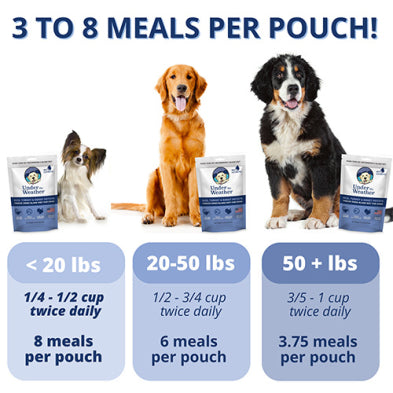 Under the Weather® Dinde, et Patate Douce, Régime sans irritants gastriques lyophilisé pour chiens 6-oz