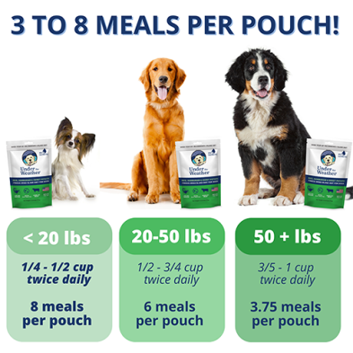 Under the Weather® Riz, Hamburher et bouillion d'os Régime sans irritants gastriques lyophilisé pour chiens, 6-oz