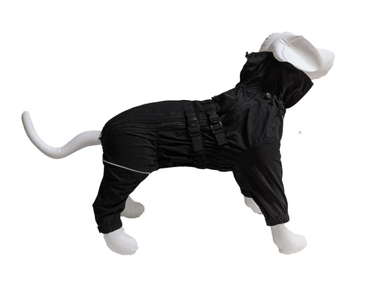 Le Chien Blanc Brave Manteau 4 Pattes