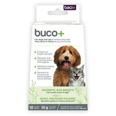 Baci+ Buco+ 10 Jours Chat/Chien