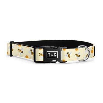 T&S Collier Chien Buzz Tres Petit