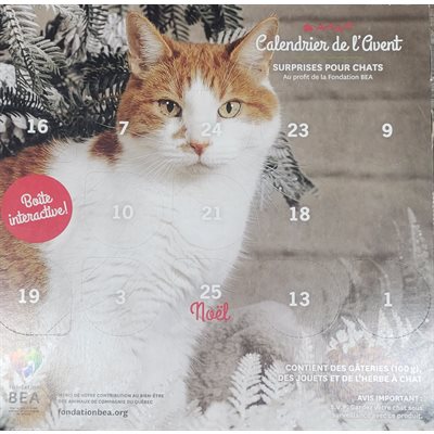 Calendrier Avent Chat Bea