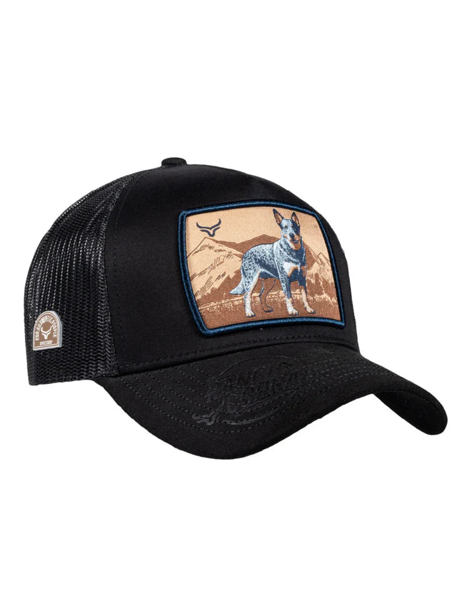Ranch & Corral  |  Casquette Bouvier Australien