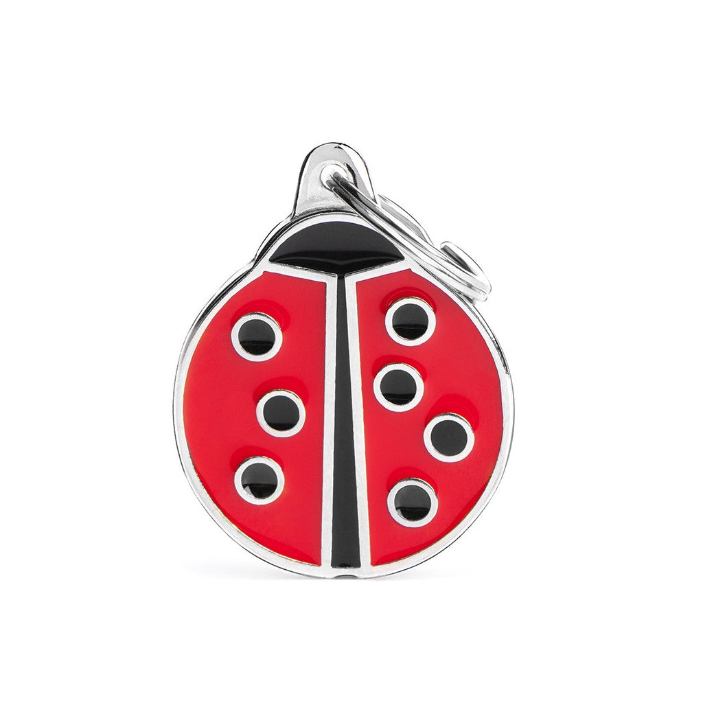 Medaille Charms Big Ladybug