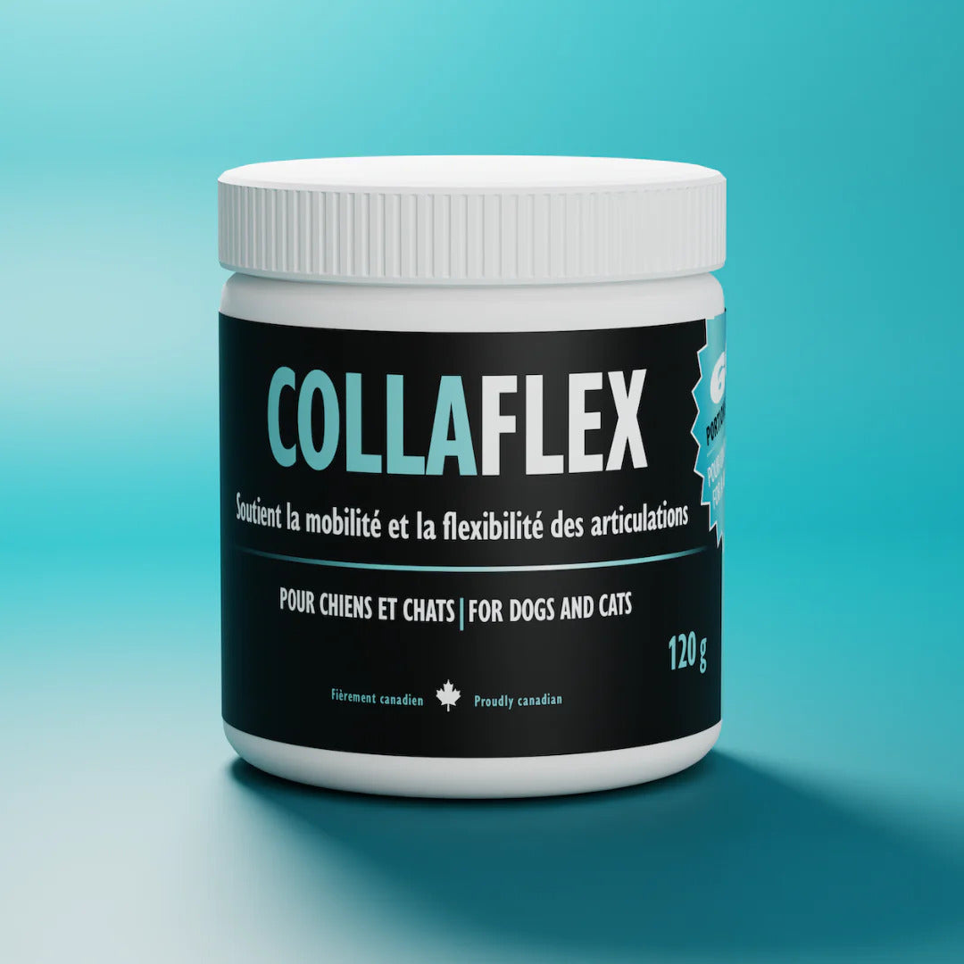 Pattedeau Bio Colloflex (articulation) 120gr