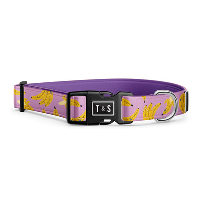 Tella & Stella Collier Chien Collection Motif