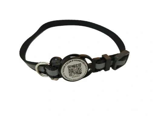 Woof Tag collier avec médaille intelligente