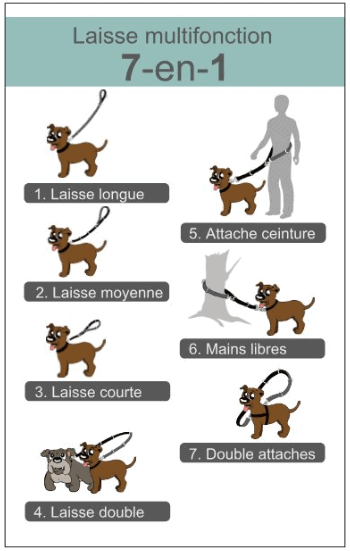 Beli Concept Laisse BLEUE NOIRE multifonction 7-en-1