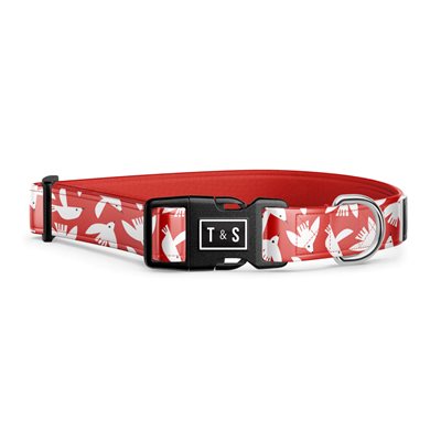 T&S Collier Chien Cuicui Tres Petit