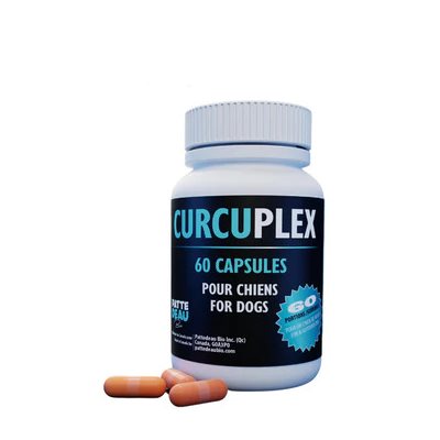 Pattedeau Bio Curcuplex (curcuma liposome) 60Capsules