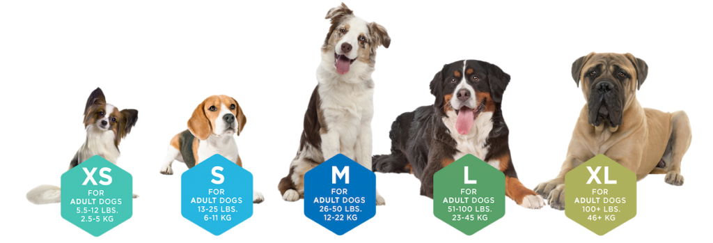 Yummy Combs® avec vrai poulet – Friandises dentaires pour petits chiens (12 oz)