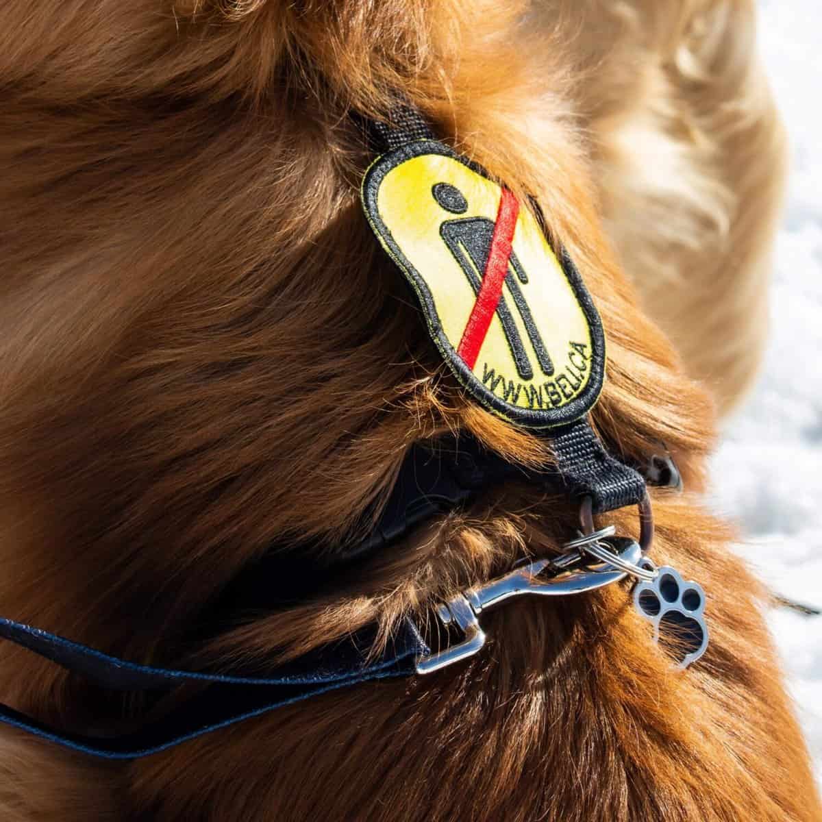 Beli Concept Écusson en velcro – Pas d’humain