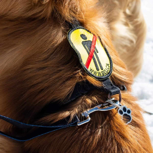 Beli Concept Écusson en velcro – Pas d’humain