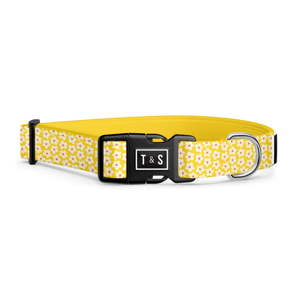 Tella & Stella Collier Chien Collection Motif
