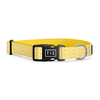 Tella & Stella Collier Chien Collection Motif