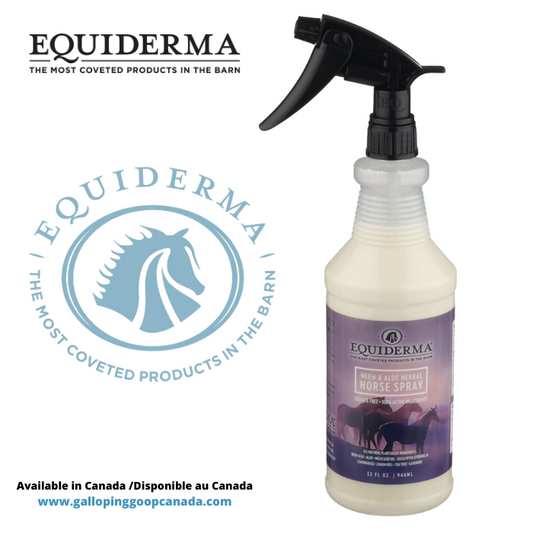 Equiderma Chasse-insectes vaporisateur 946ml