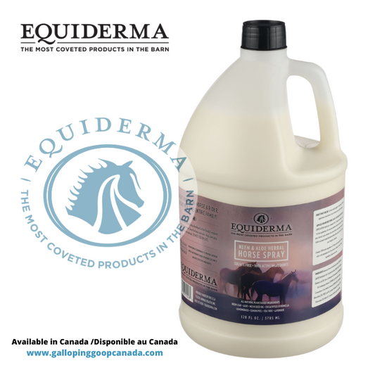 Equiderma Chasse-Insecte recharge 3.8L