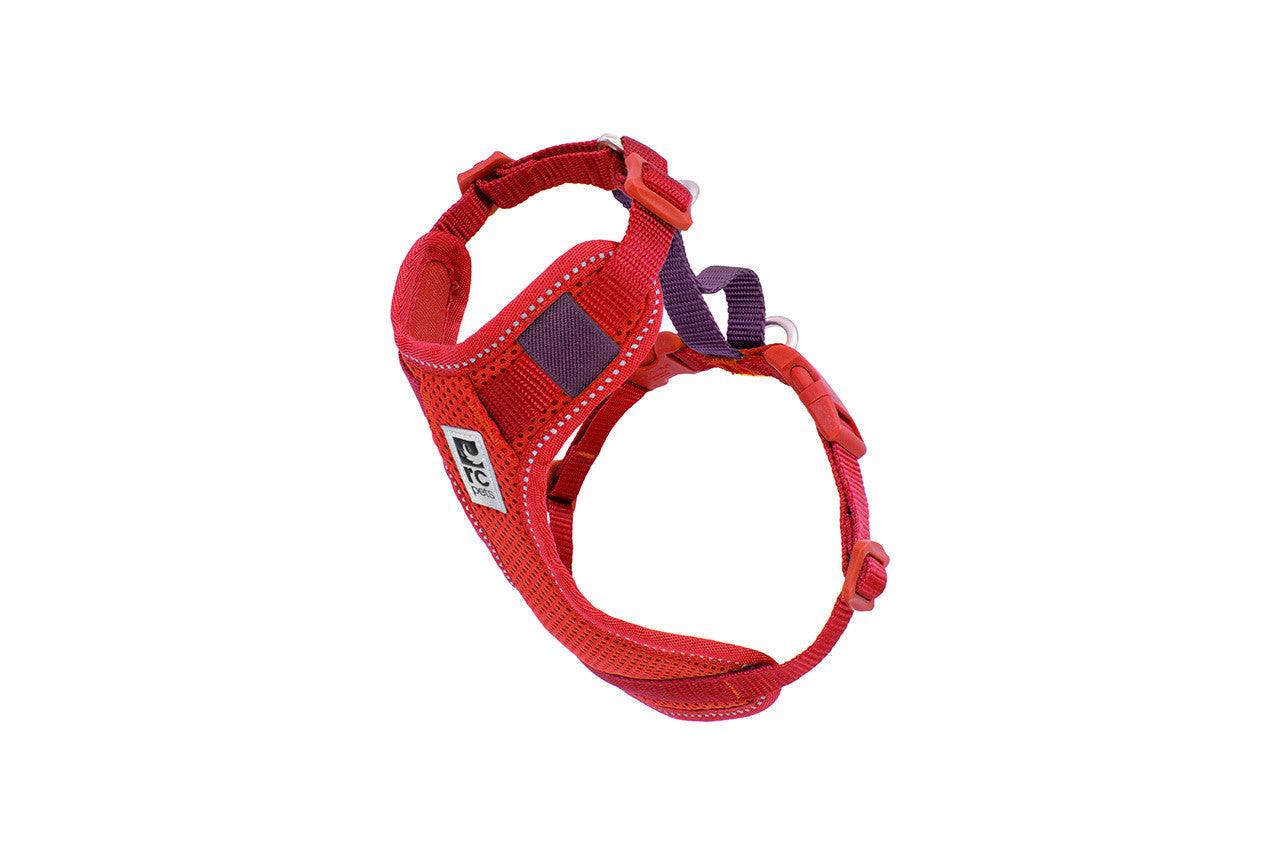 Rc Pets Harnais Moto Control – Confort & Sécurité pour Chiens et Chats
