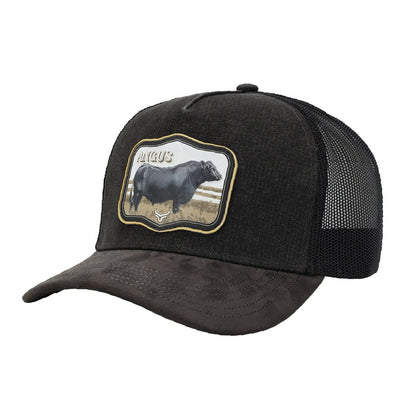 Ranch And Corral - Bonnet de bétail 67