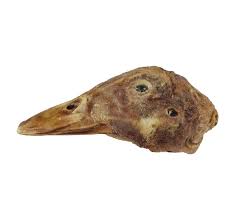 Tête De Canard