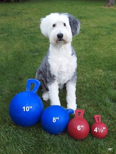 Jolly Ball Tug-N-Toss 4.5" Rouge