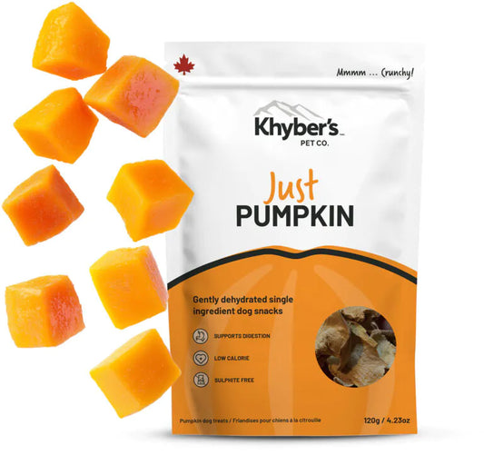 Khyber's Just Pumpkin