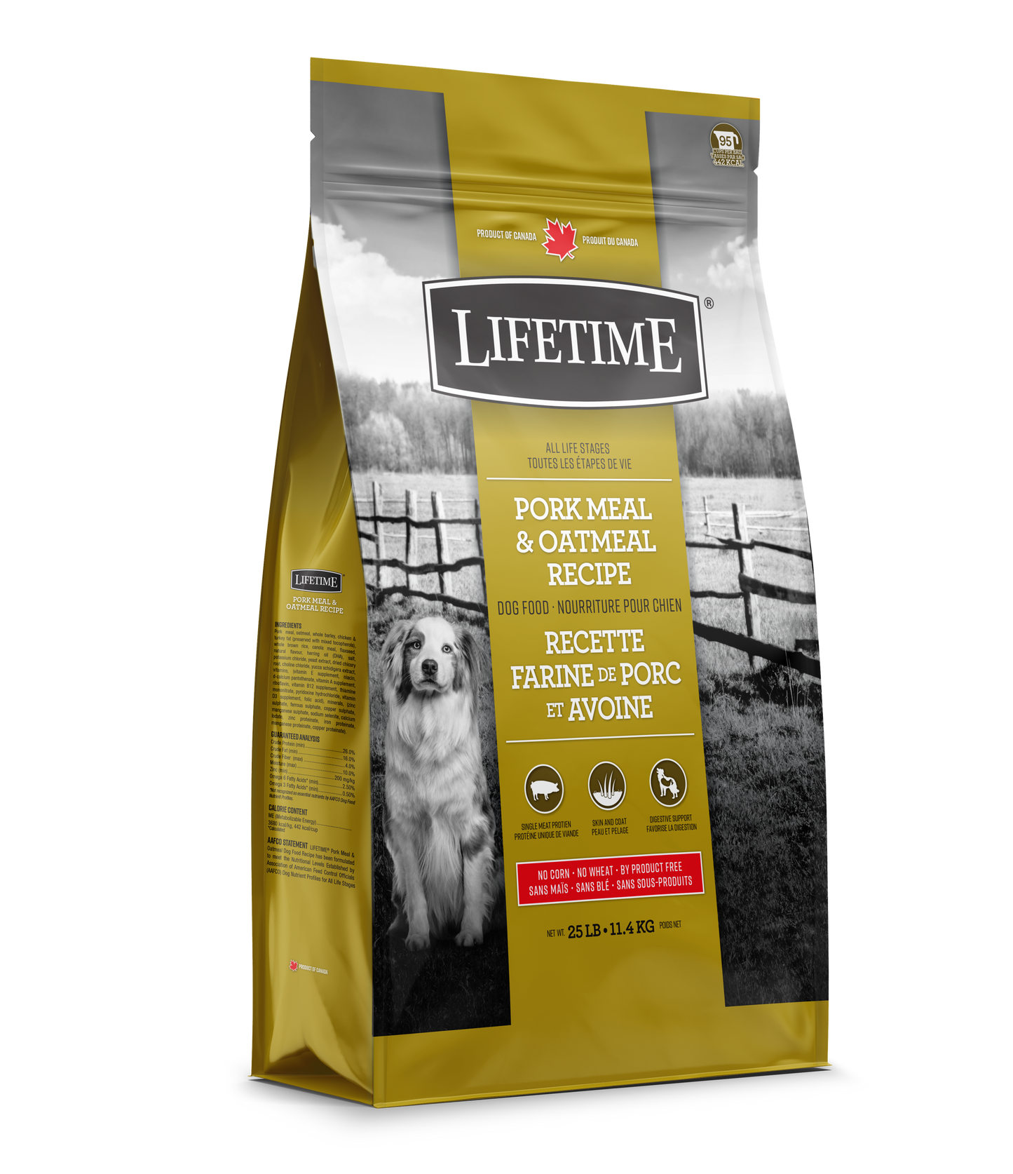 Lifetime Chien Porc/Avoine 11.4Kg
