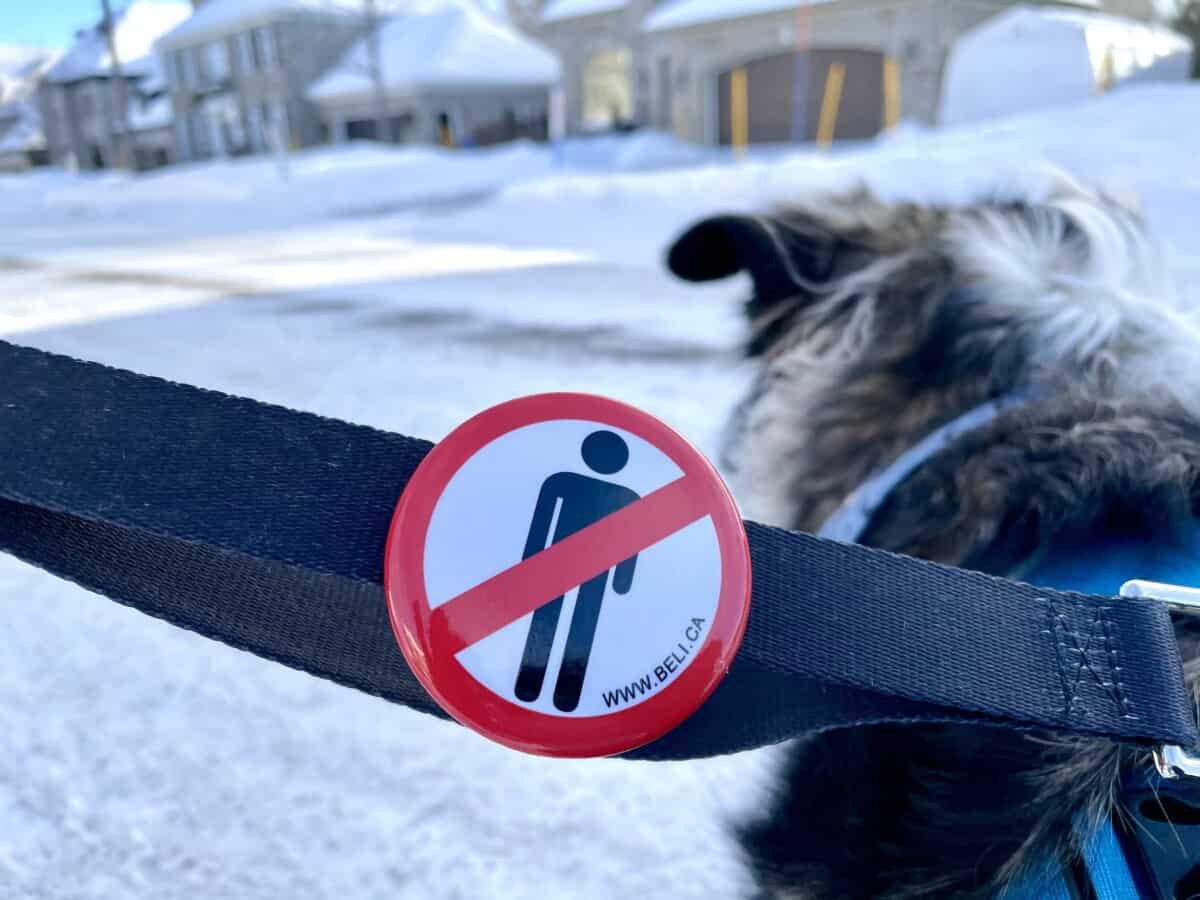 Beli Concept Macaron – Pas d’humain