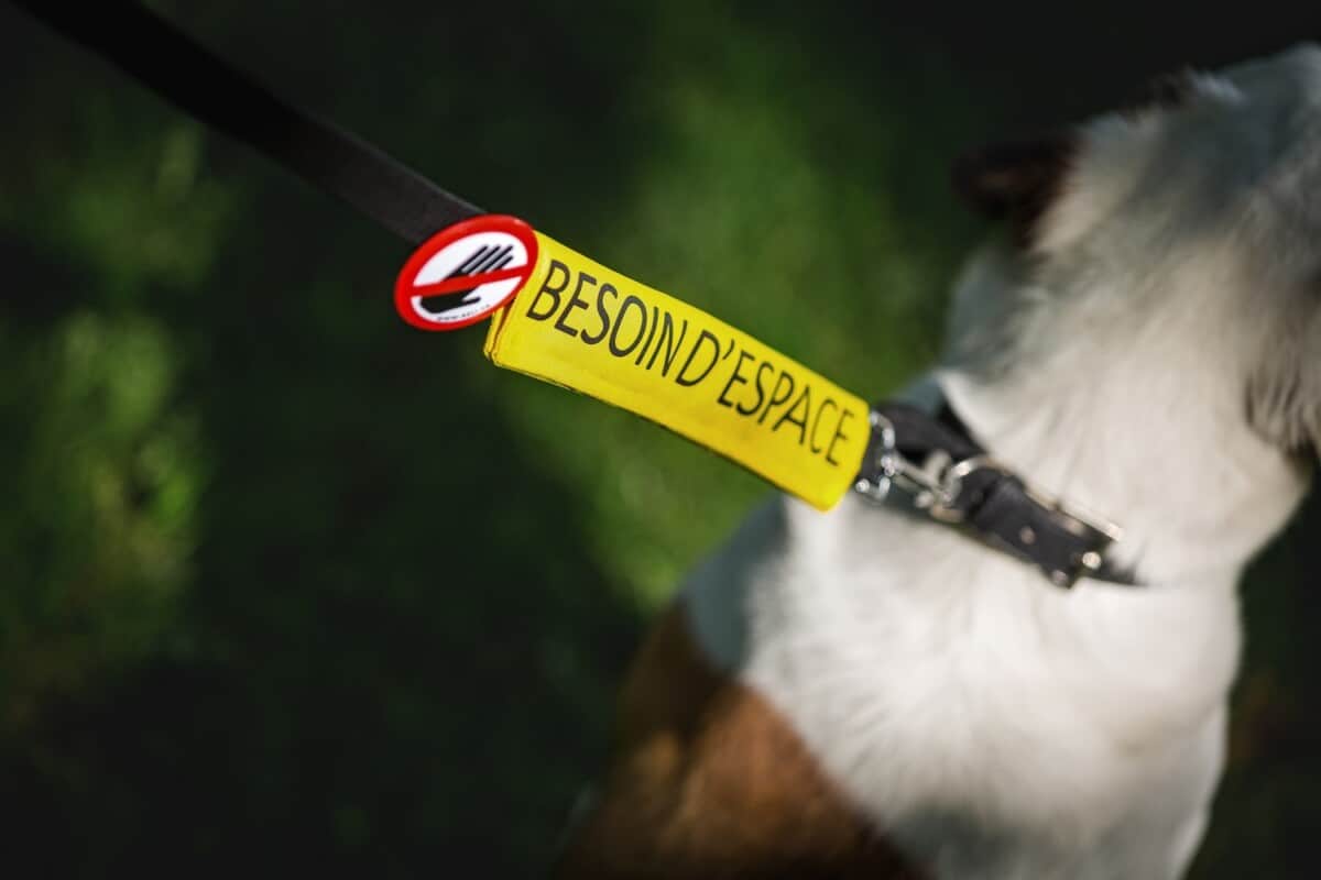 Beli Concept Macaron – Ne pas toucher