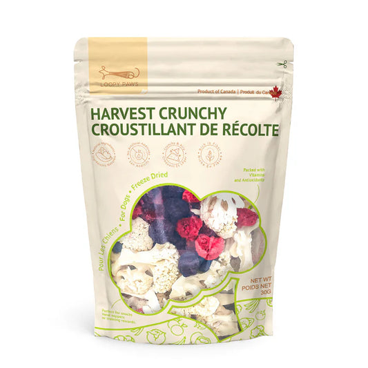 Mélange de chou-fleur croquant de la récolte