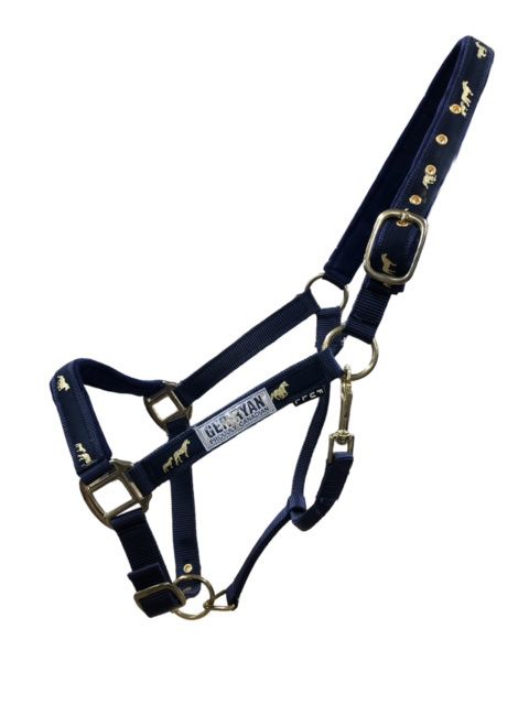 Licou en Nylon avec Motif Chevaux – Rembourré et Ajustable Marine