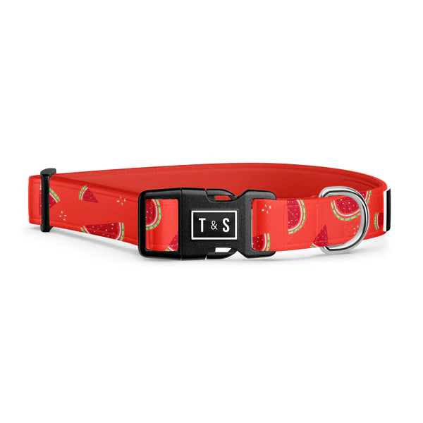 Tella & Stella Collier Chien Collection Motif