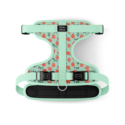 Tella & Stella Harnais Ajustable Chien a motif