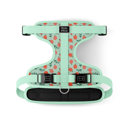 Tella & Stella Harnais Ajustable Chien a motif