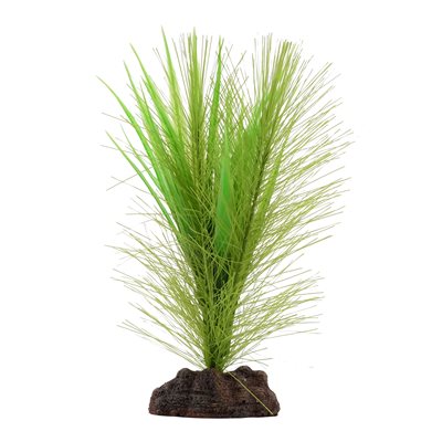 Fluval Green Feather Plant 5In