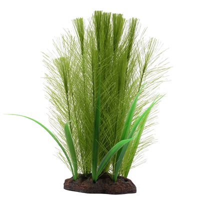 Fluval Green Feather Plant Set 8In