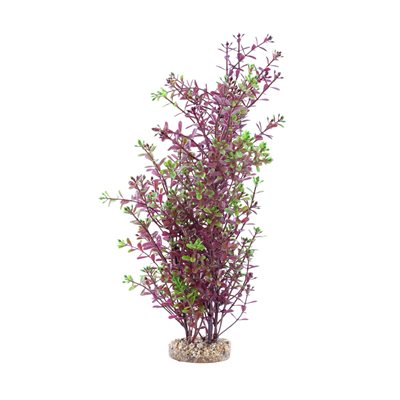 Fluval Red Rotala 10In