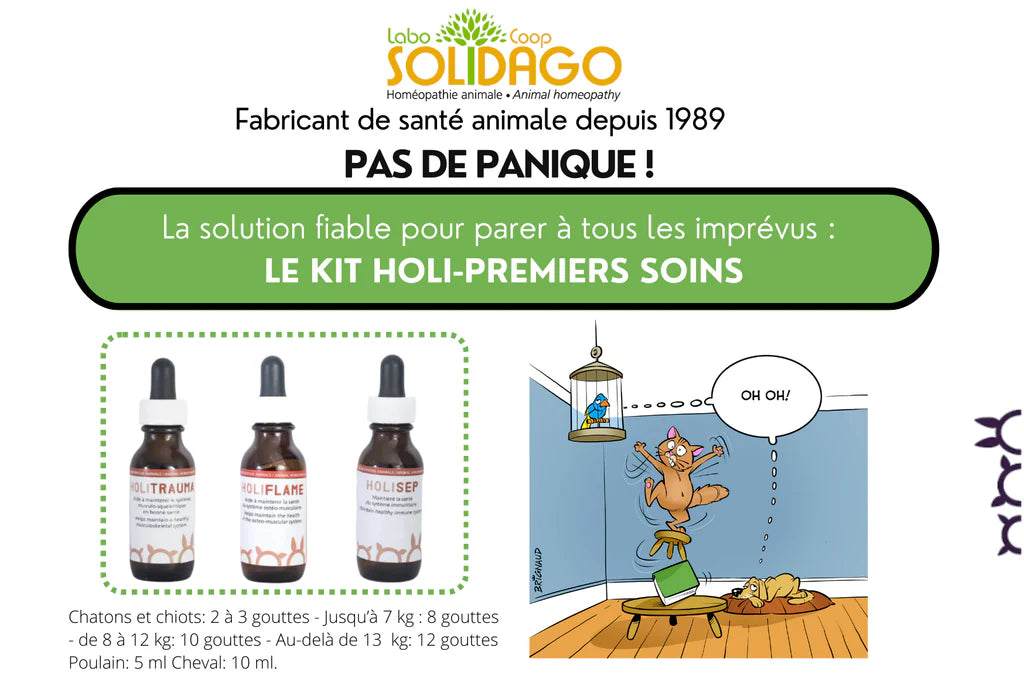 Holidago Kit Premiers Soins