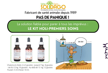 Holidago Kit Premiers Soins