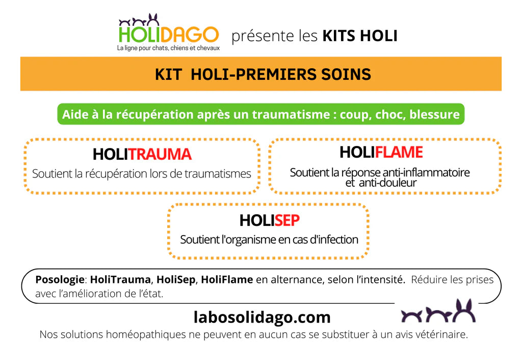 Holidago Kit Premiers Soins